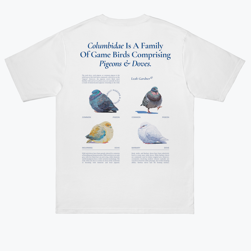 Pigeons & Doves